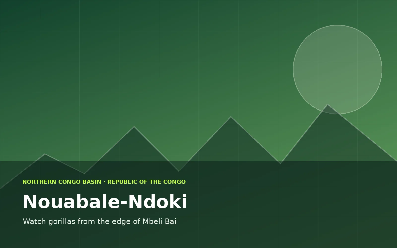 Nouabale-Ndoki, Republic of the Congo