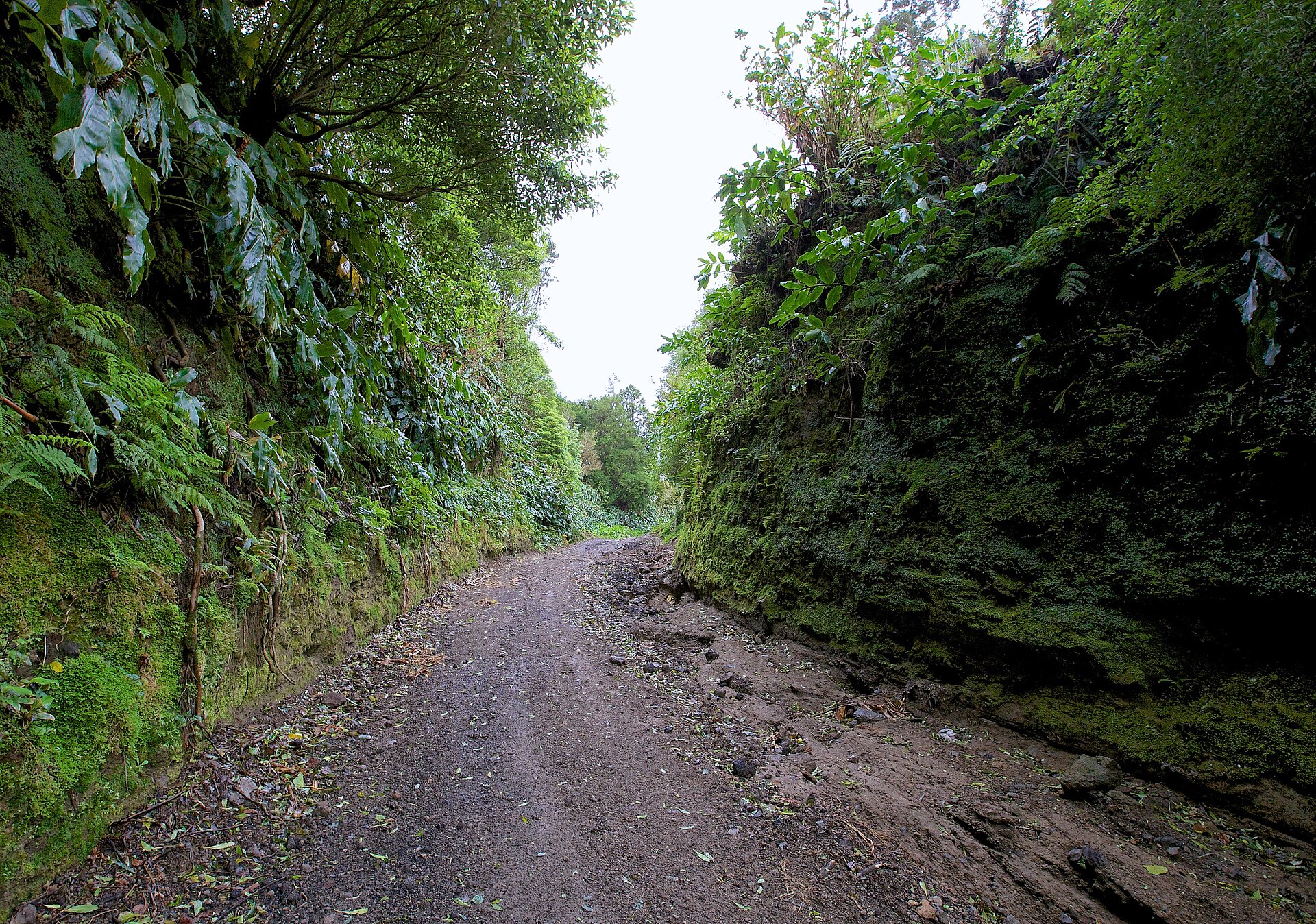 Trail around Caldera of Sete Cidades - Azores - panoramio