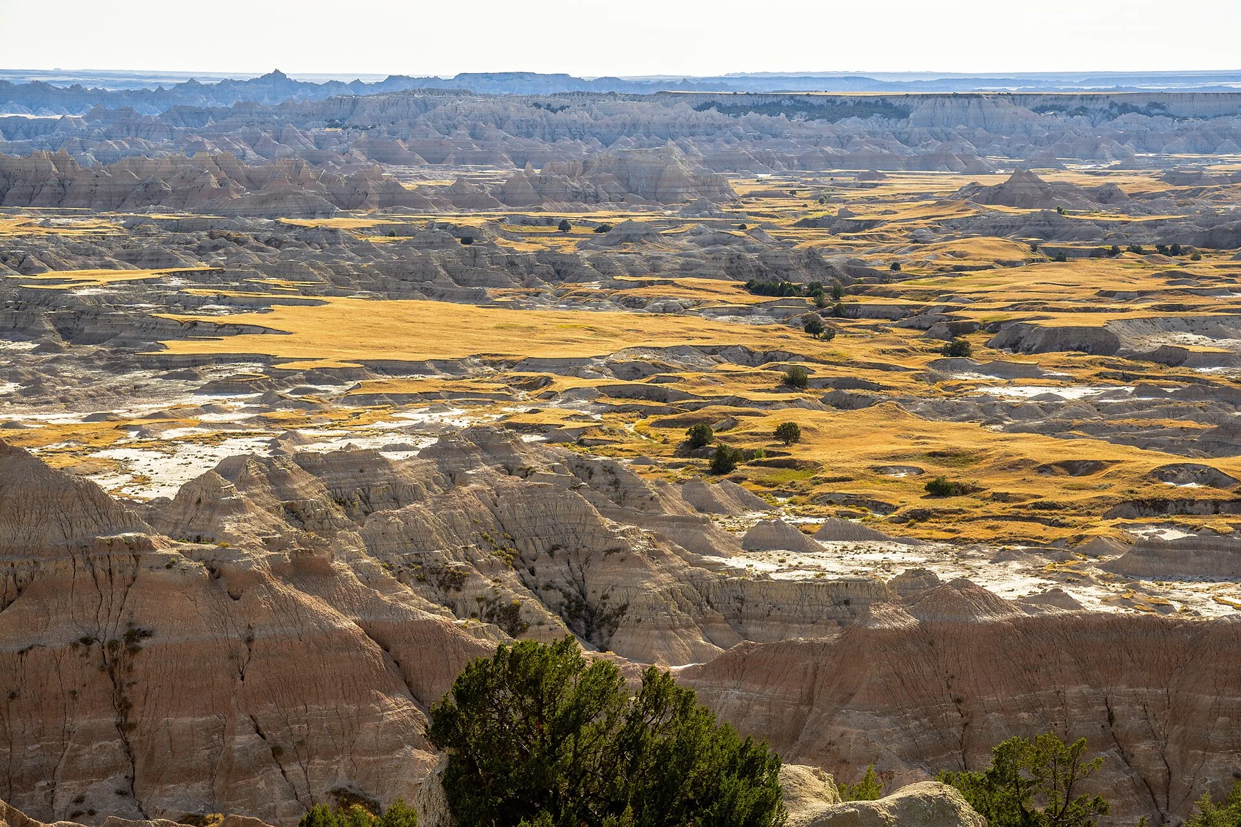 2017 Mountain States - Parcul National Badlands, SD - 40102794654
