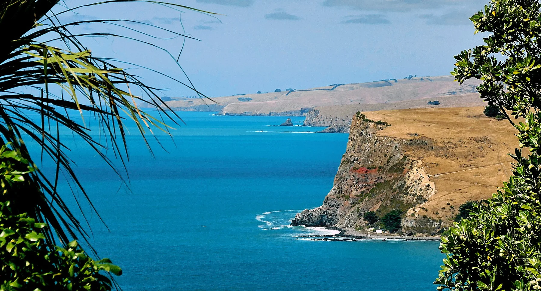 Peninsula Banks. NZ. (49675294252)