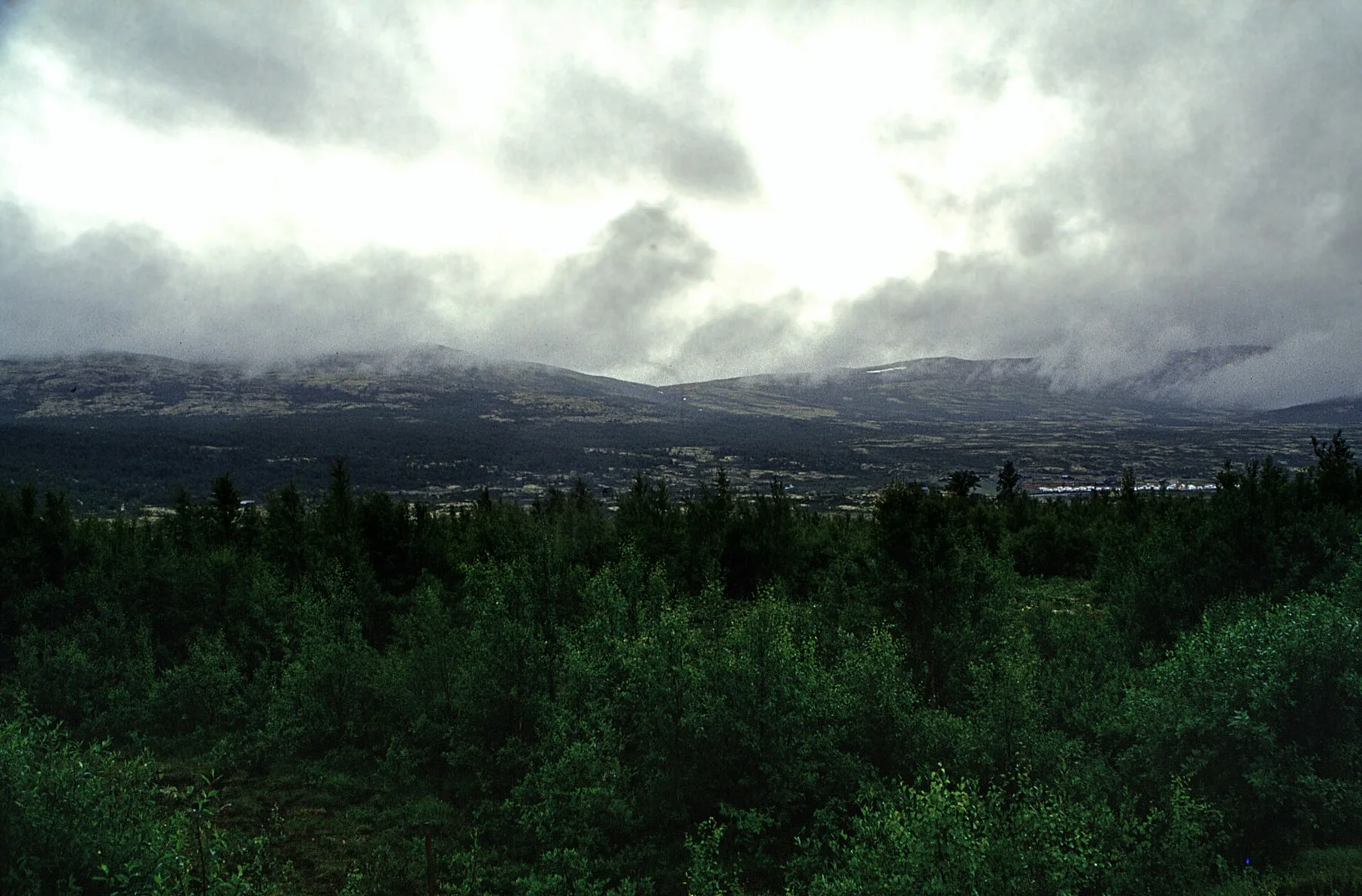 Dovrefjell - view 12