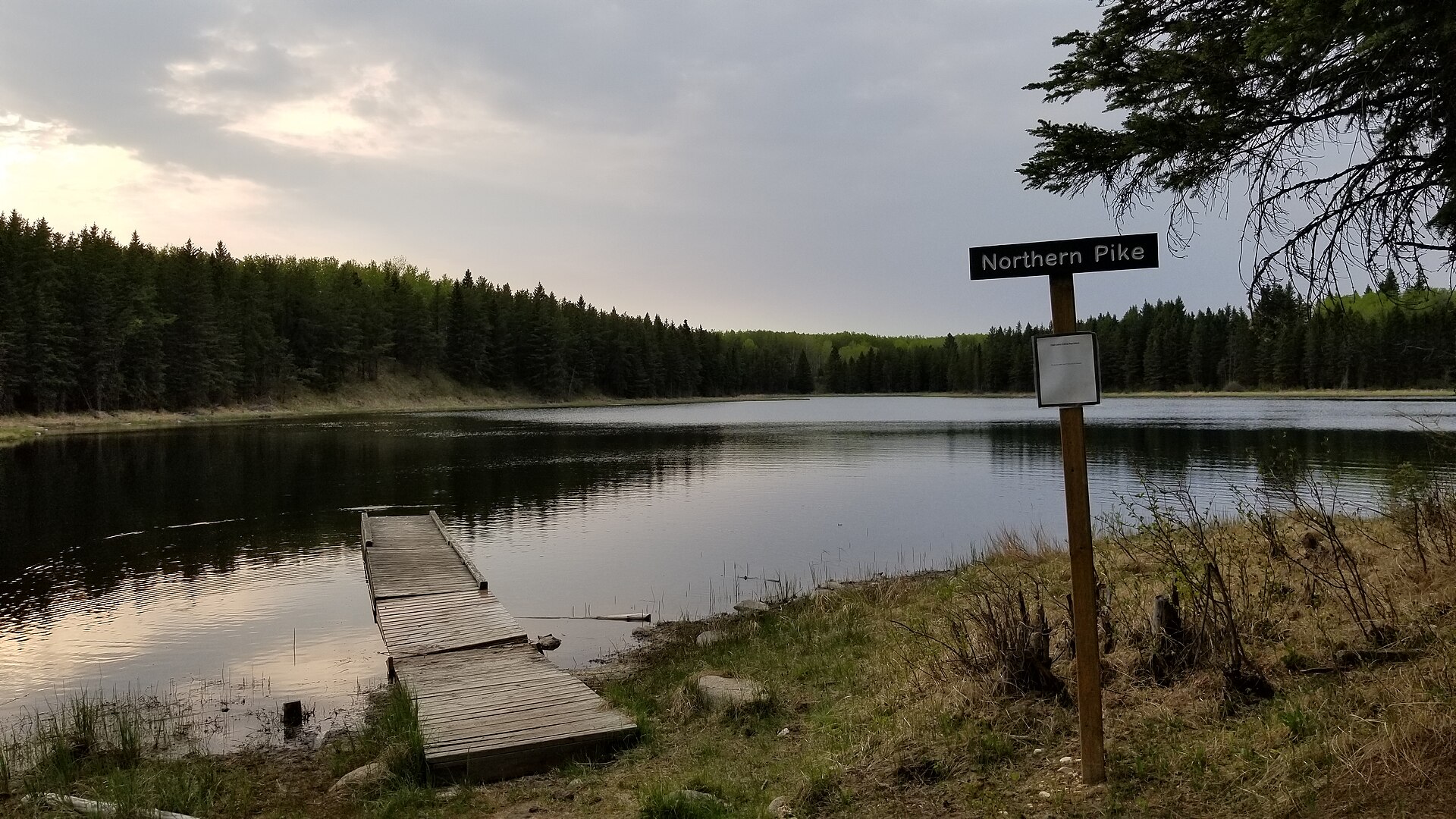 Northern Pike Lake in Duck Mountain Provincial Park- Courtesy of N. Gashyna- 2019