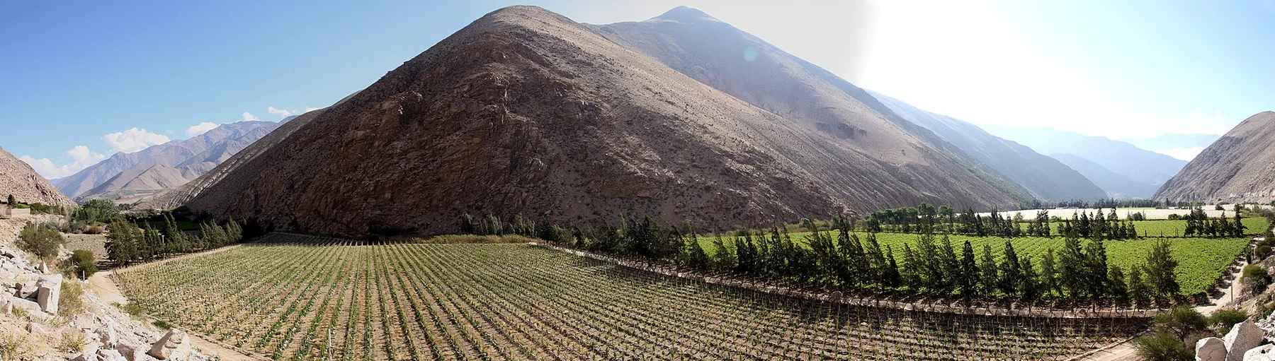Valea Elqui - vedere 11
