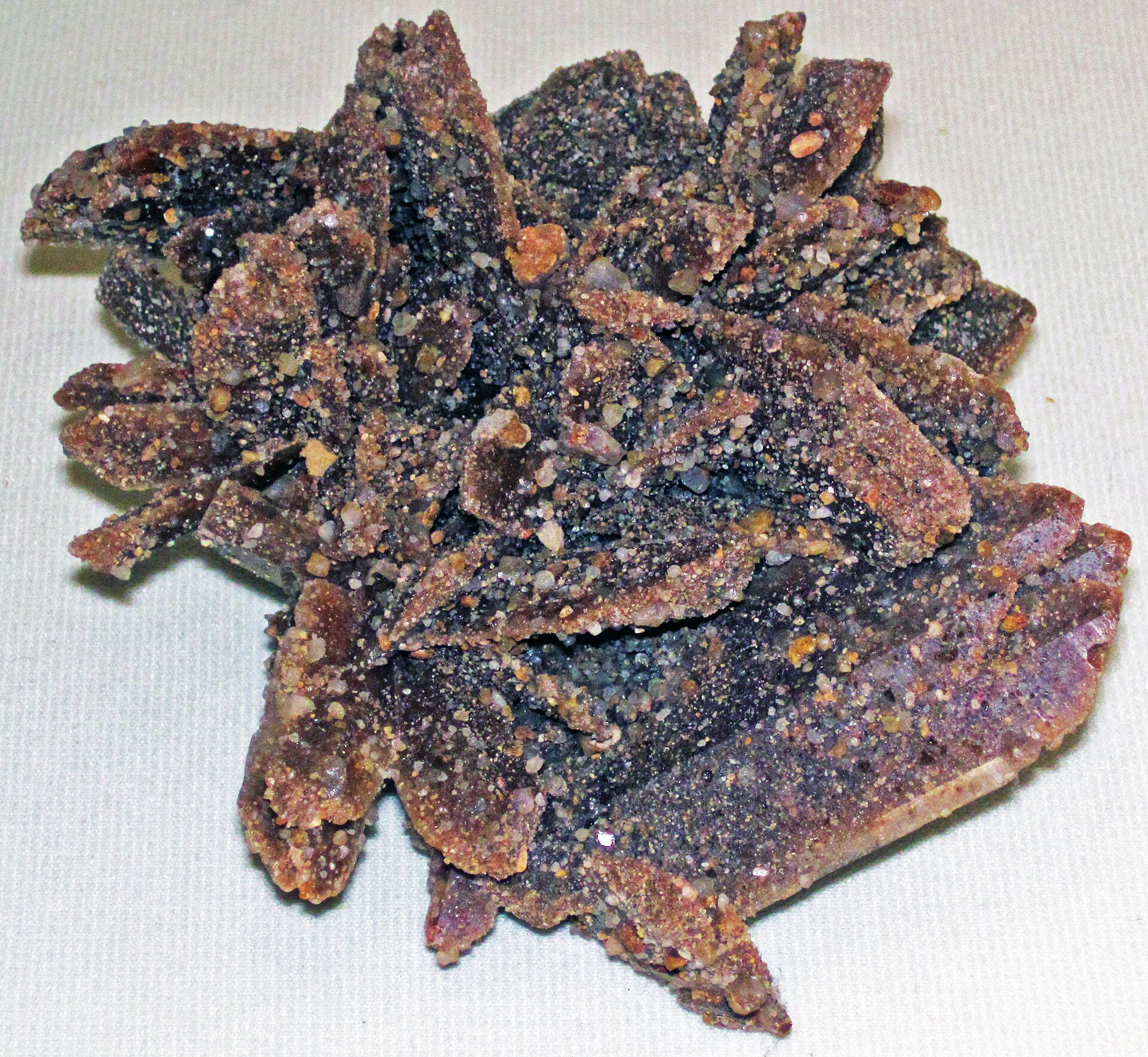 Gypsum (Quaternary; Great Salt Plains, Oklahoma, USA) (33665432653)