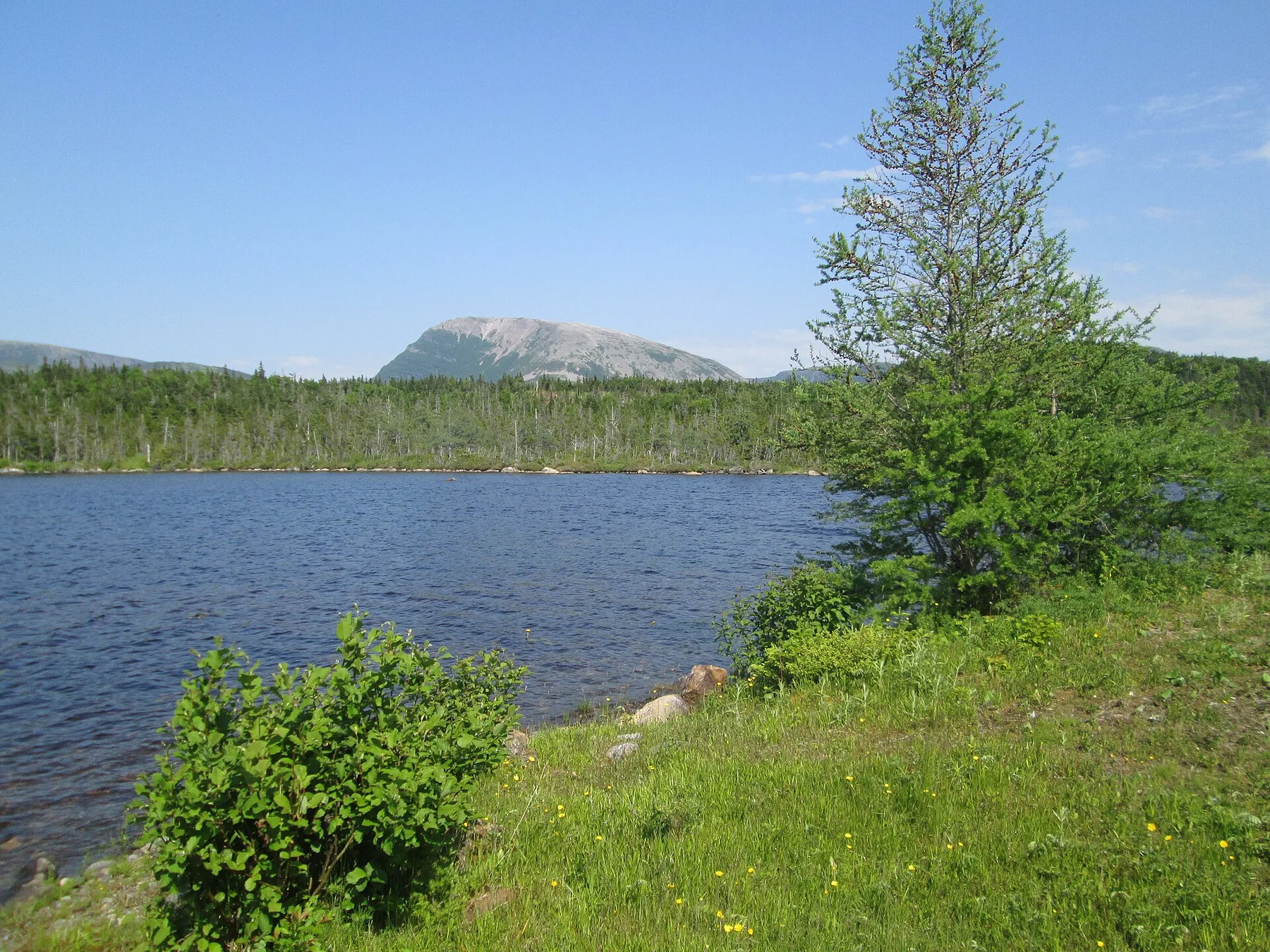 Gros Morne - vedere 11
