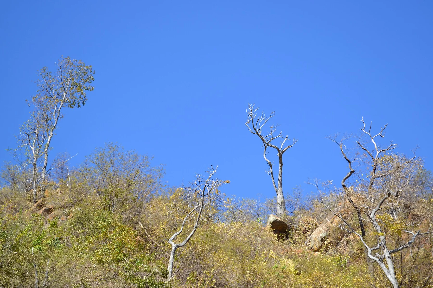 Peninsula Guajira — view 6