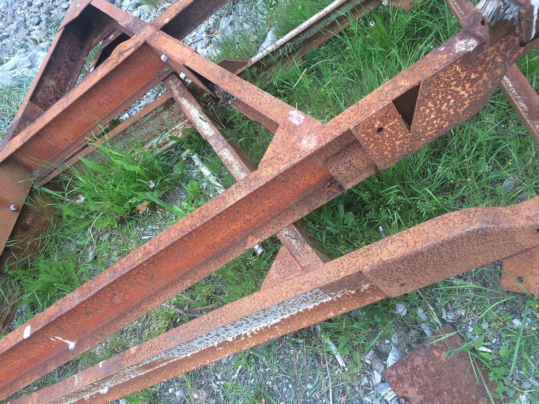 Beach Treasure on Haida Gwaii (27519844636)