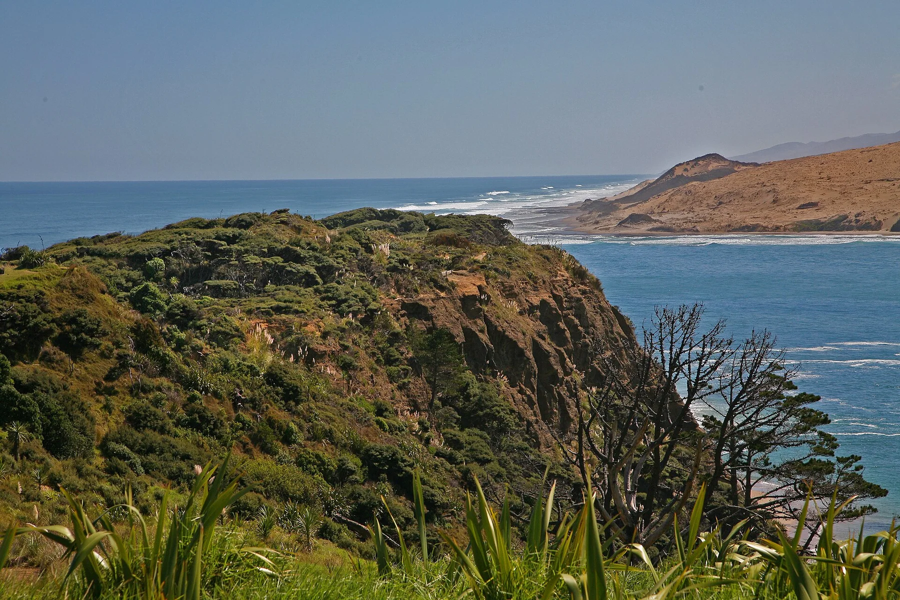 Hokianga - view 12