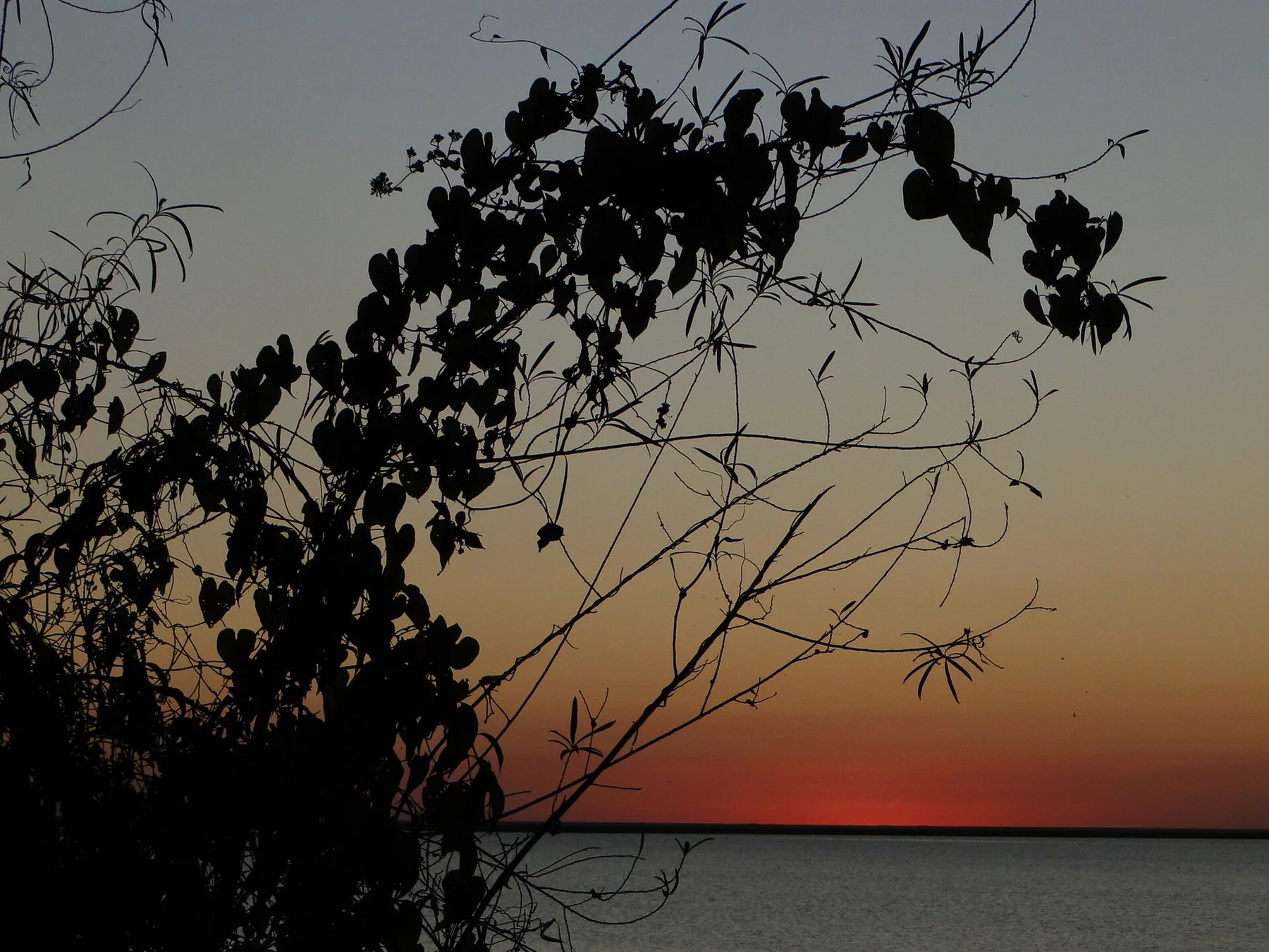Iberá (pôr do sol) - panoramio