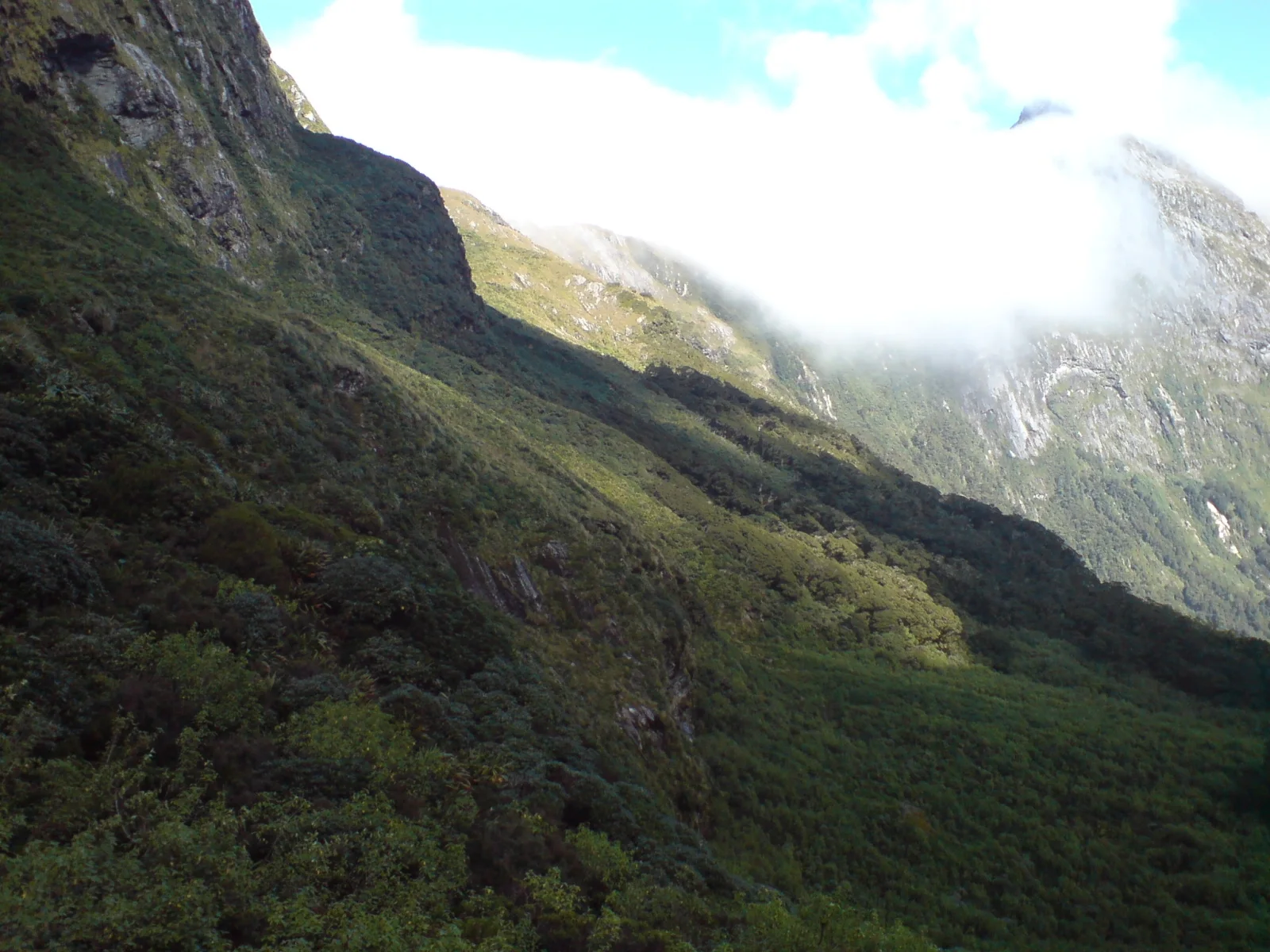 Milford Track — view 2