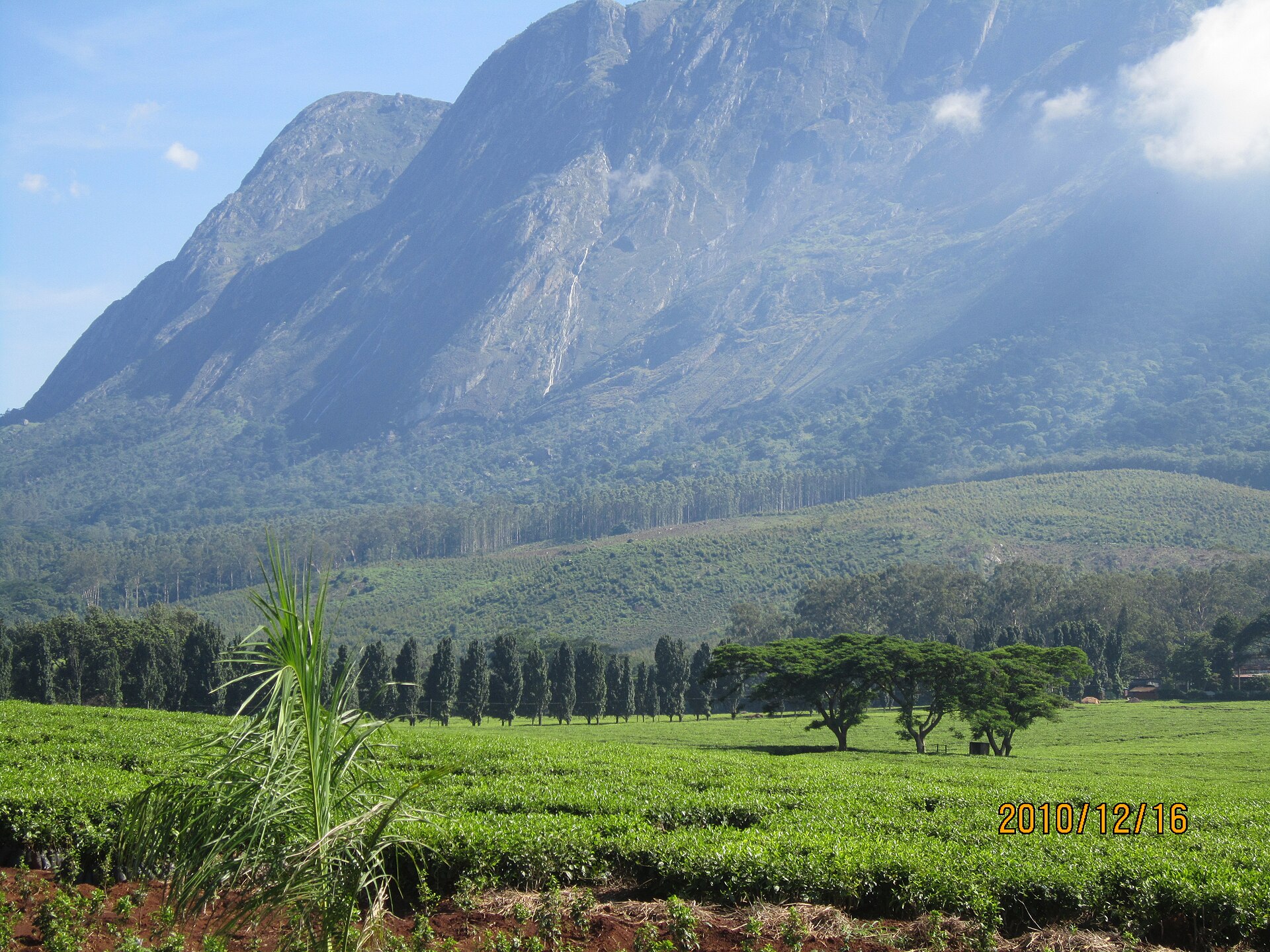 Mulanje Mountain foothill