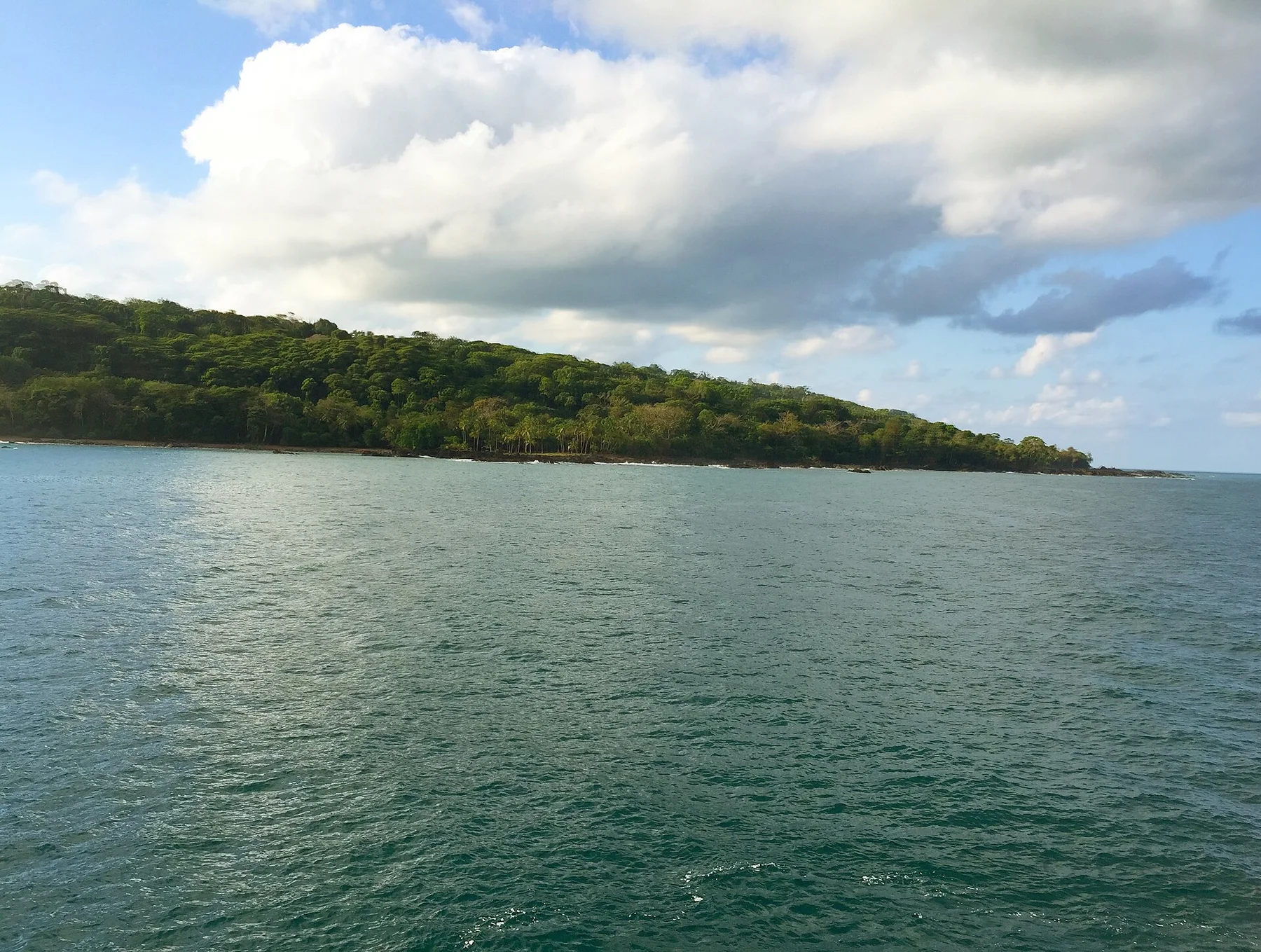 Osa Peninsula - Costa Rico - panoramio (4)
