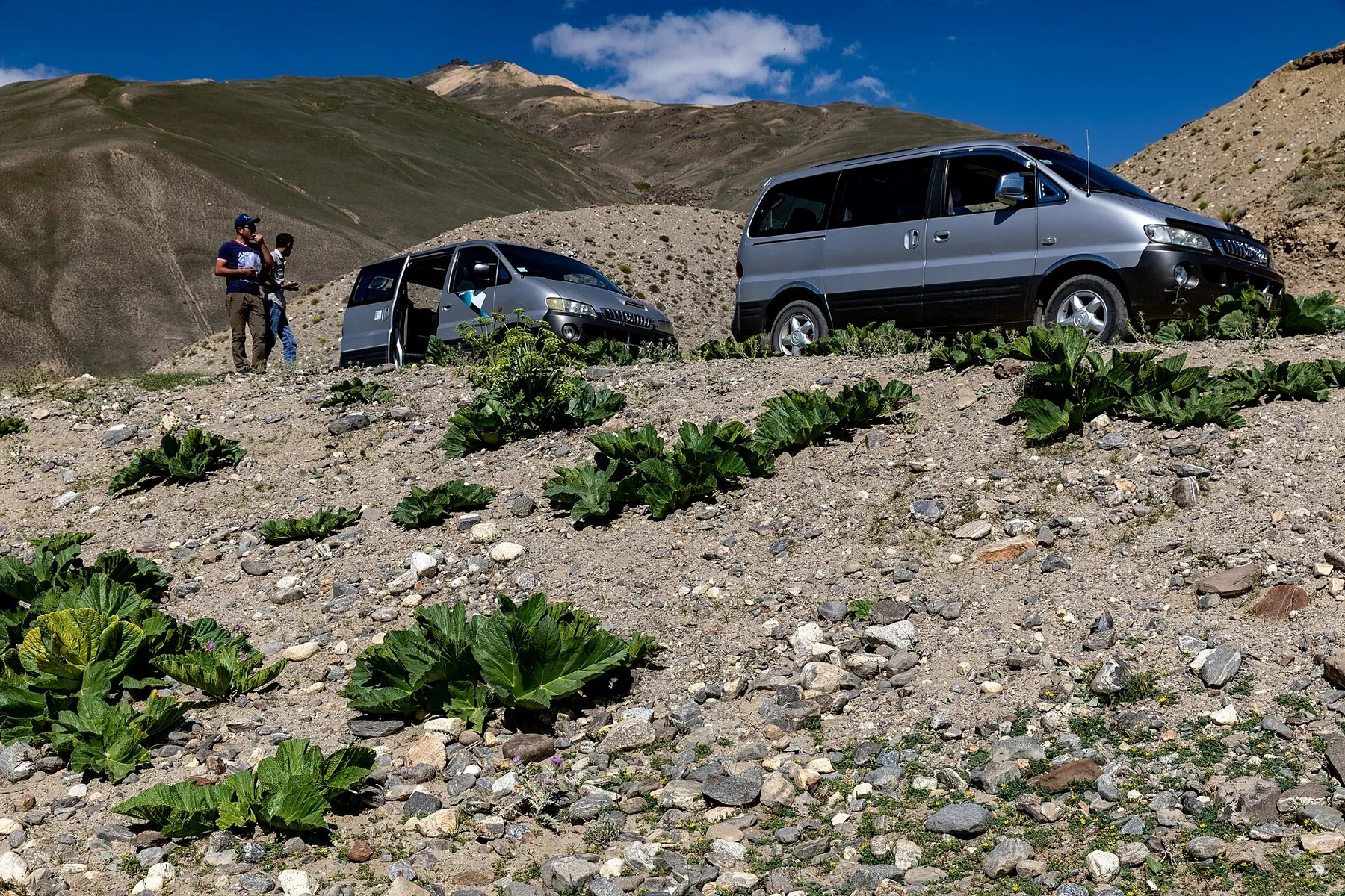 Pamir Highway - view 15