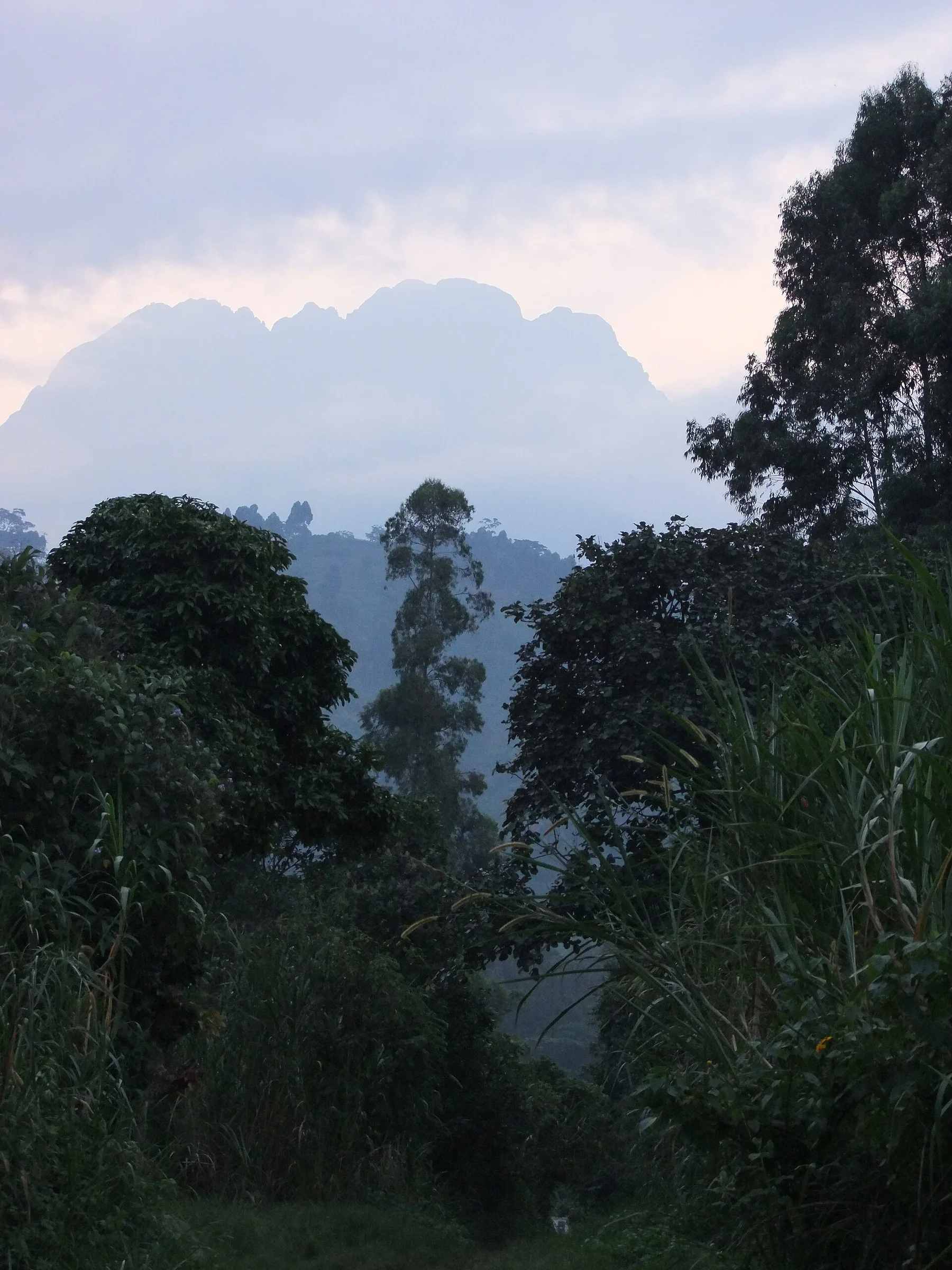 Muntii Rwenzori — view 3