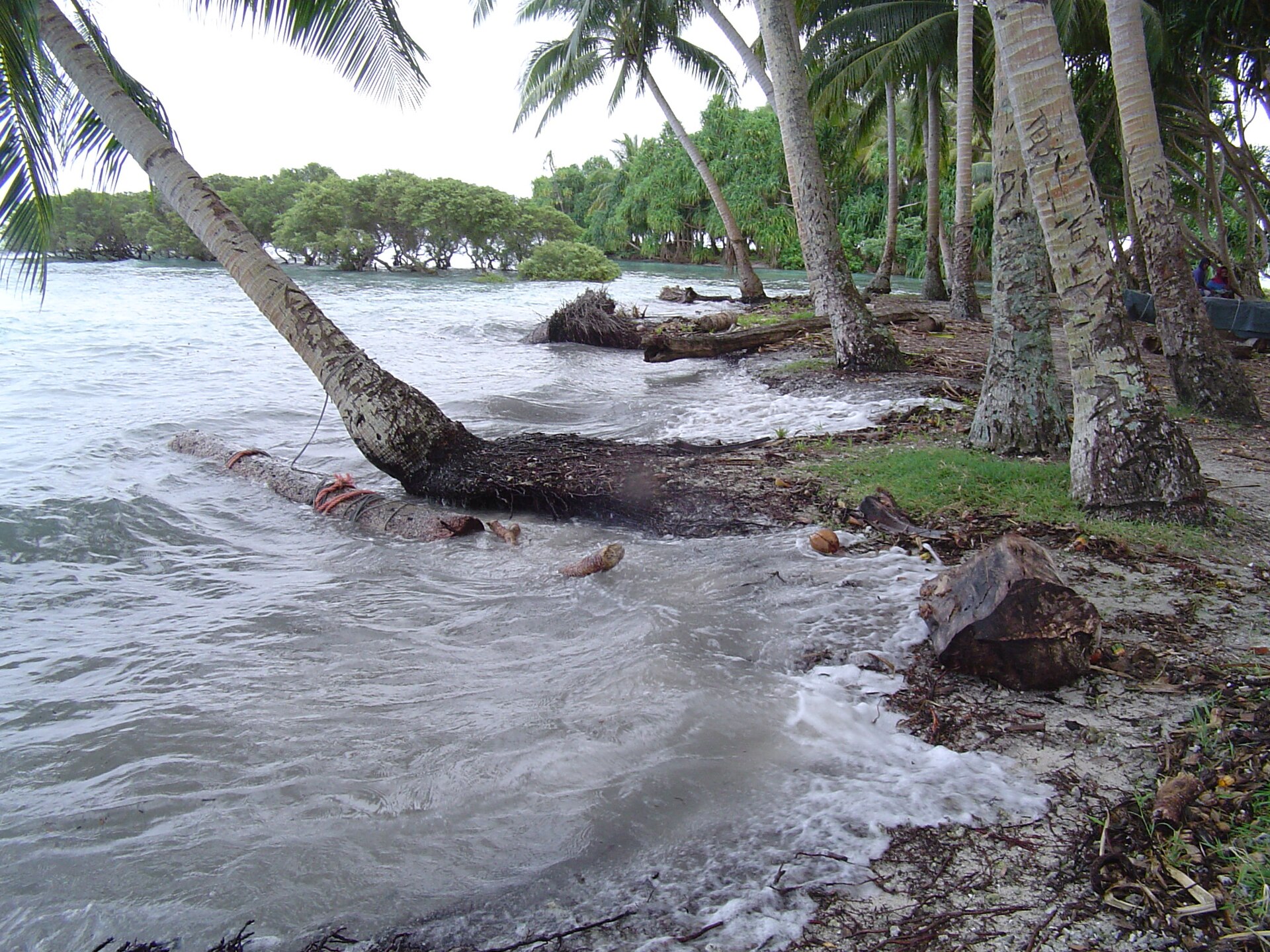 NukutoaHighTide