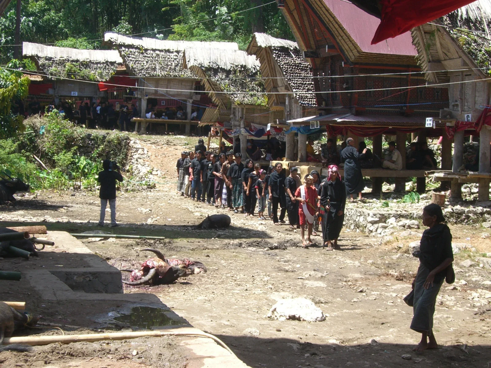 Tana Toraja - view 7
