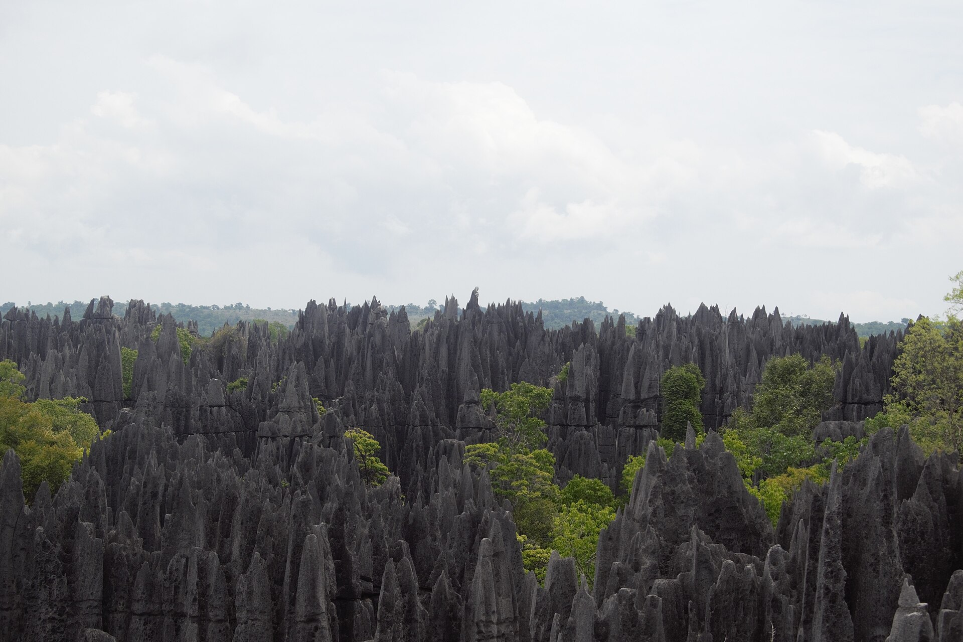 Relief karstique, Tsingy de Bemaraha, Madagascar