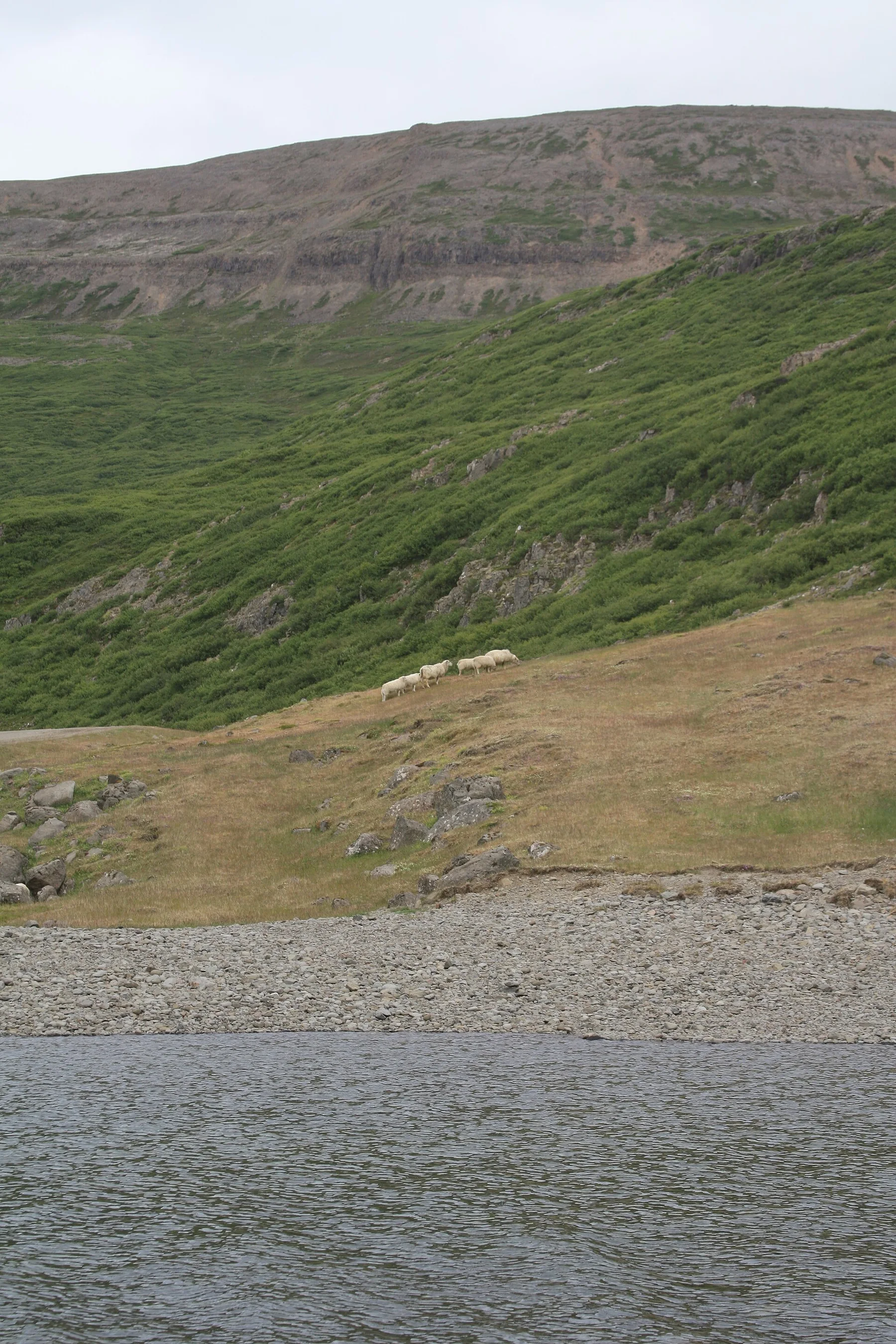 Westfjords - view 8