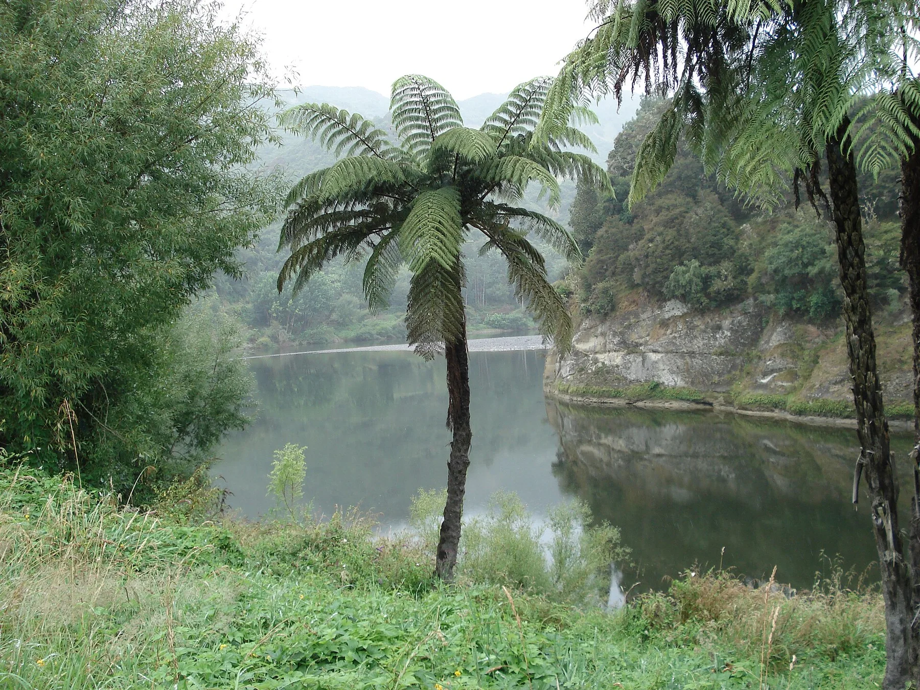 Raul Whanganui — view 4