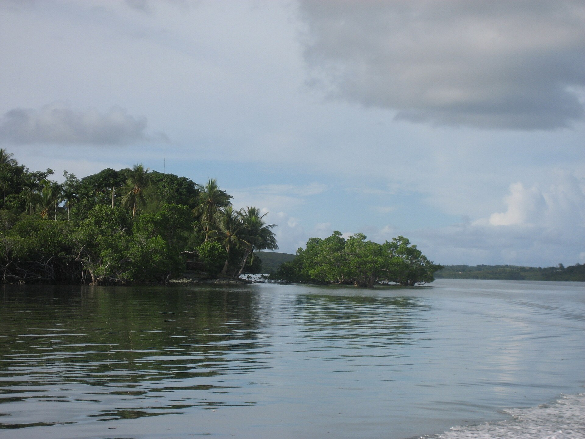 Yap Mangrove Forest (2849095133)