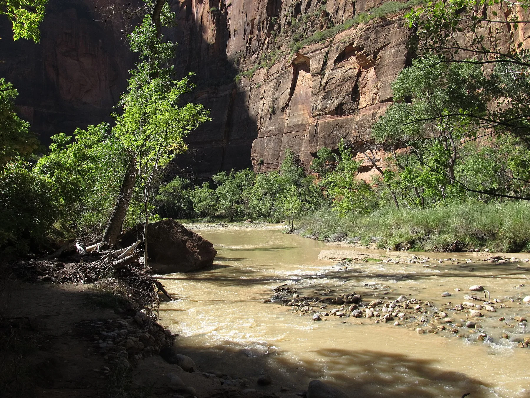Riverside Walk to Zion Narrows, Zion Canyon, Zion National Park, Utah (8096067174)